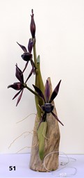 Bild von Ecklampe Orchidee LED